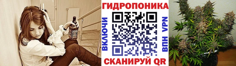 Бошки Шишки марихуана  Купить закладки  Новомичуринск 